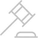 Case Result Icon